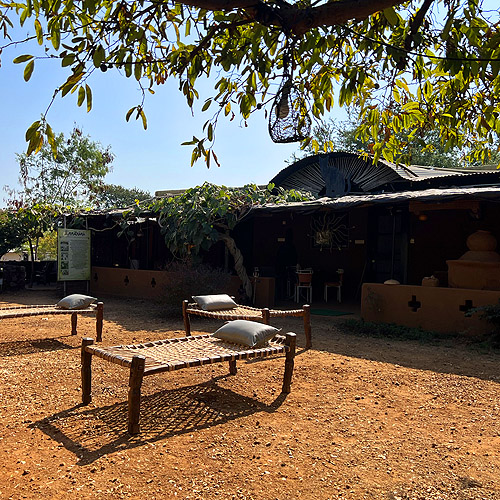 NF Forest house